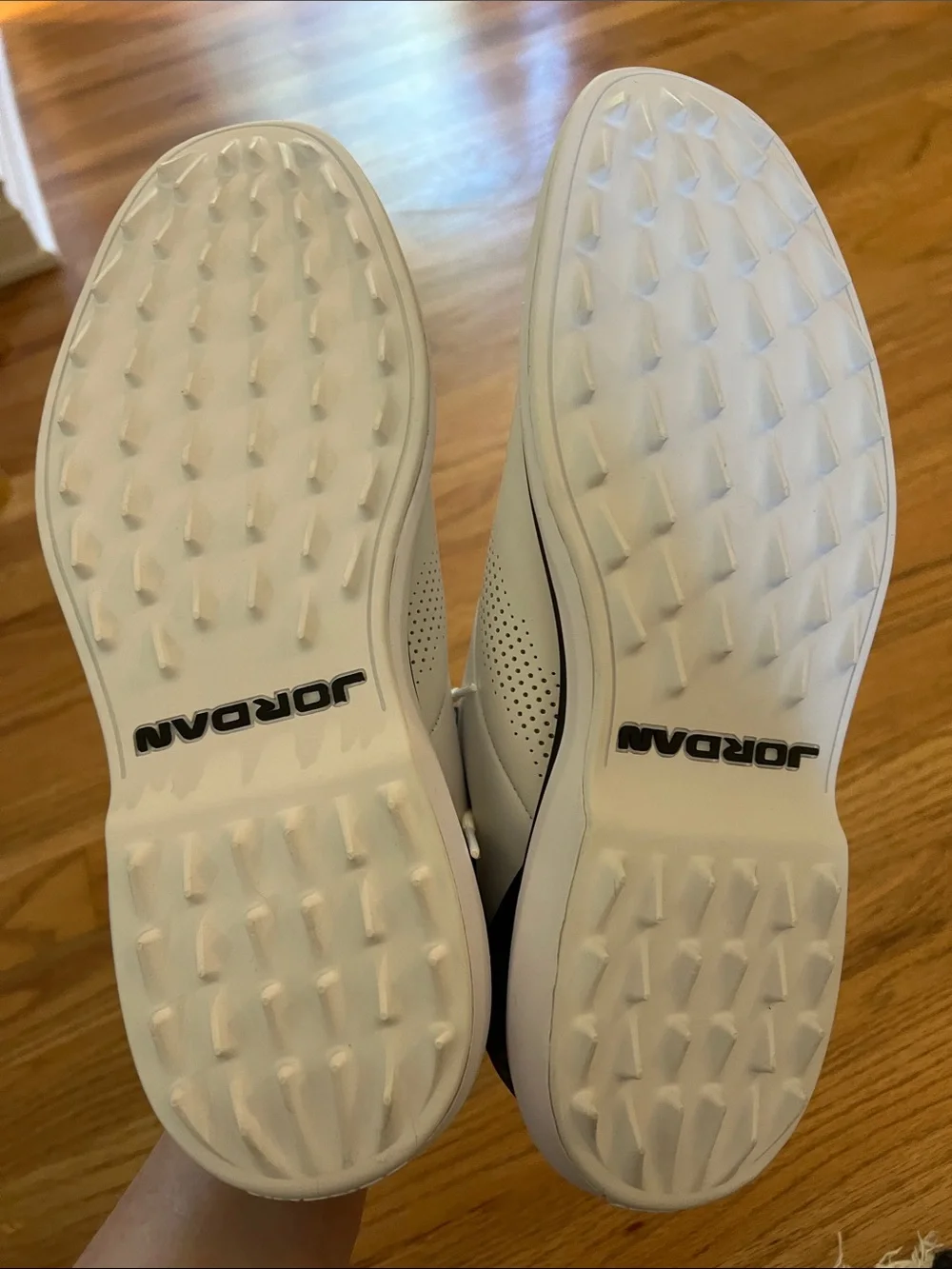 Jordan Golf Shoes